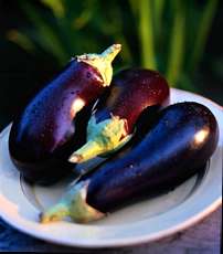 aubergine