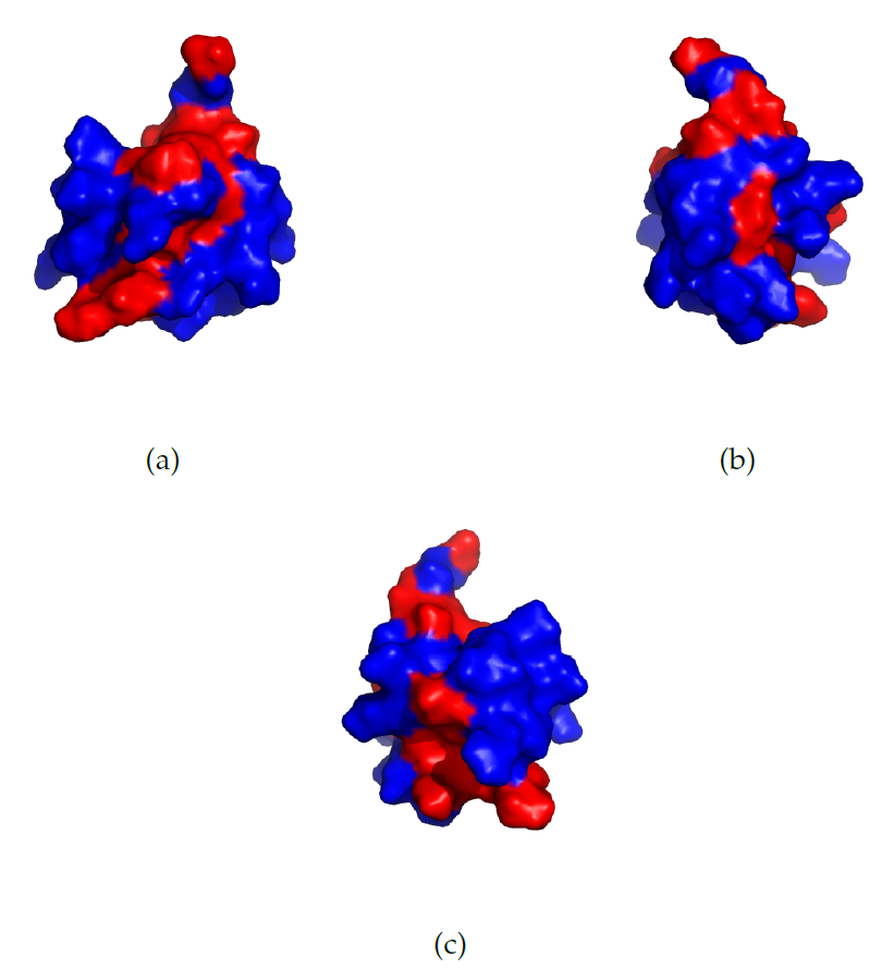 Structure for PDD with hydrophobic amino acids coloured differently from rest