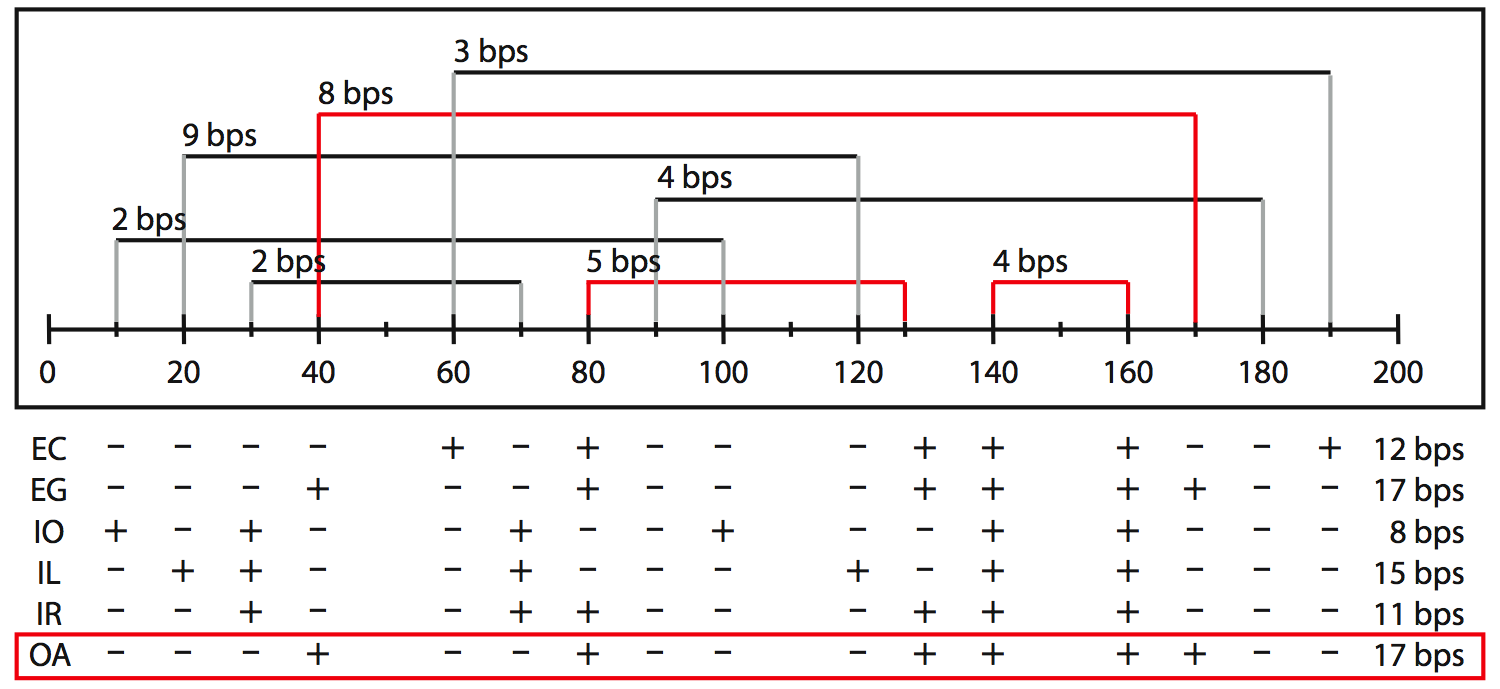 schema