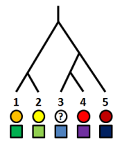 PhyloPars logo